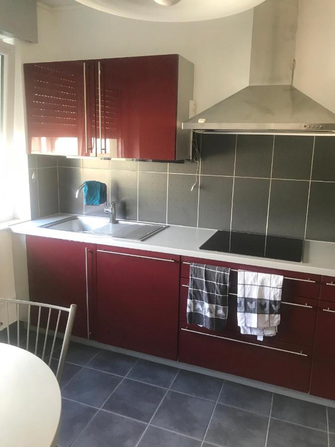 Appartement L'Oeil De Colmar Eksteriør bilde