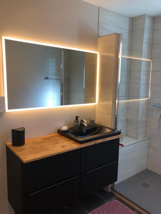 Appartement L'Oeil De Colmar Eksteriør bilde